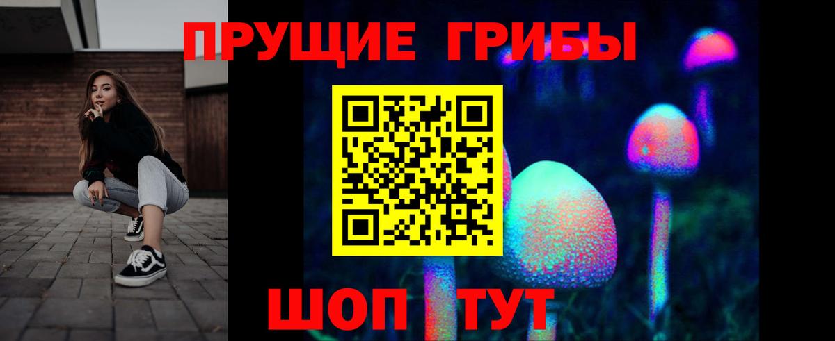 Псилоцибиновые грибы прущие грибы  Вход с VPN  Кореновск  Галлюциногенные грибы мицелий 